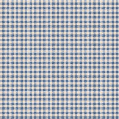 Creating memories - Gingham blue