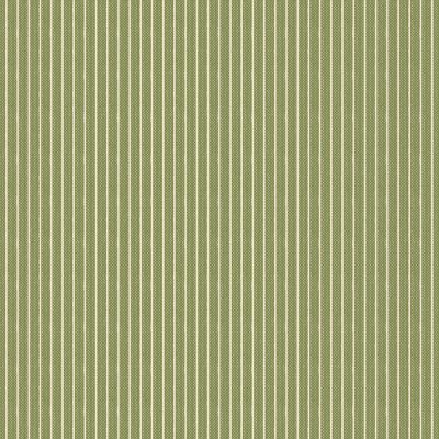 Creating memories - Stripe green