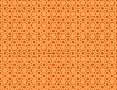 Basically Hugs - Orange Honeycombs