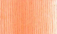 Presencia Finca Threads #16 thread #9175 Variegated peach