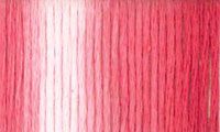 Presencia Finca Threads #16 thread #9395 Variegated carnation