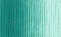 Presencia Finca Threads #16 thread #9785 Variegated teal