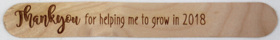 Teacher's Present - Popsicle Messages