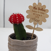 Teacher's Present - Flower Pot