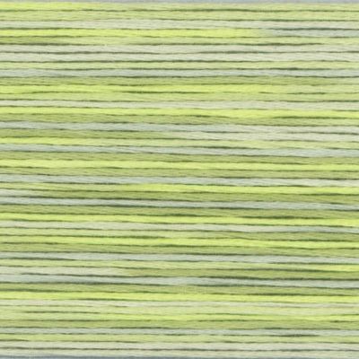 Cosmo Seasons variegated 5013