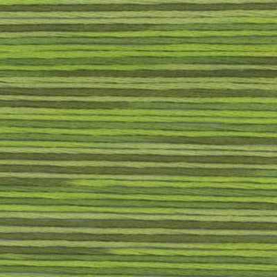 Cosmo Seasons variegated 5014