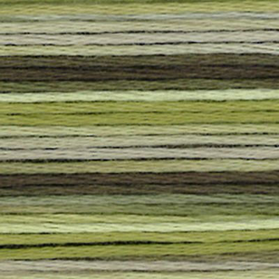 Cosmo Seasons variegated 8017