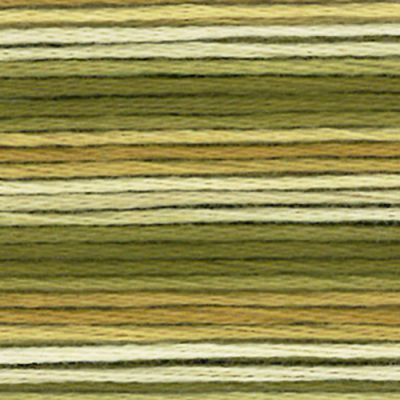 Cosmo Seasons variegated 8035
