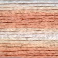 Cosmo Seasons variegated 8045