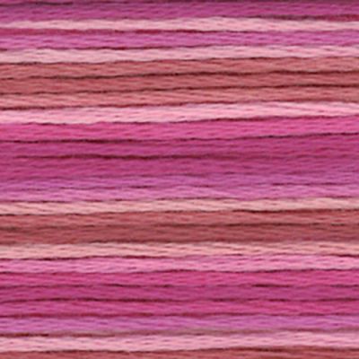 Cosmo Seasons variegated 8061