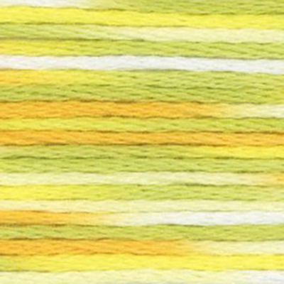 Cosmo Seasons variegated 9004