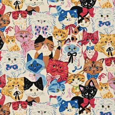 Powerful Animal Cat - Oxford