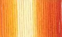 Presencia Finca Threads #16 thread #9110 Variegated copper orange