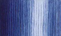 Presencia Finca Threads #16 thread #9725 Variegated delft blue