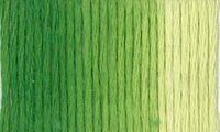 Presencia Finca Threads #16 thread #9850 Variegated grass green