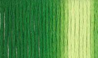 Presencia Finca Threads #16 thread #9860 Variegated olive green