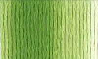 Presencia Finca Threads #16 thread #9865 Variegated khaki green