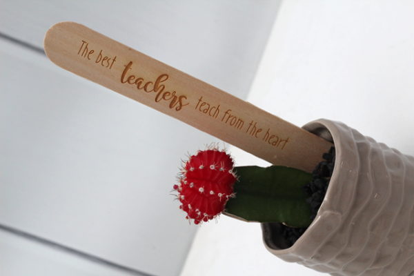 Teacher's Present - Popsicle Messages