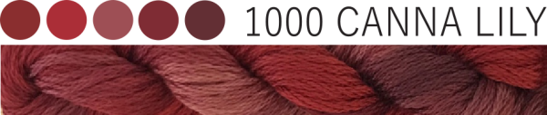 #1000 Canna Lily 