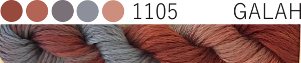 #1105 Galah