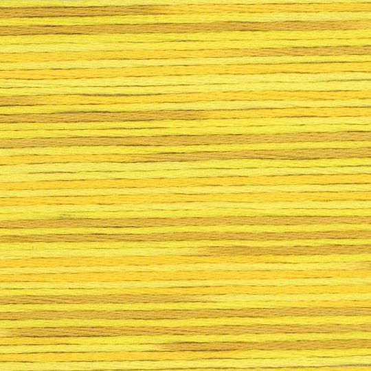 Cosmo Seasons variegated 5009