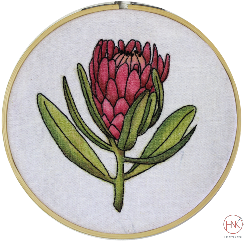 Colourque Botanicals - Protea