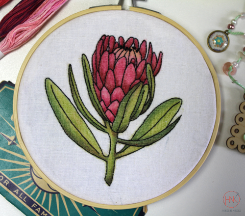 Colourque Botanicals - Protea